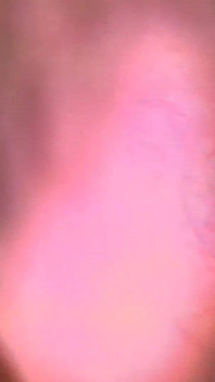 Latin Cocks Scene-3_muscular, Napaleni Latynoski geje chcą ich tyłki wypełnione