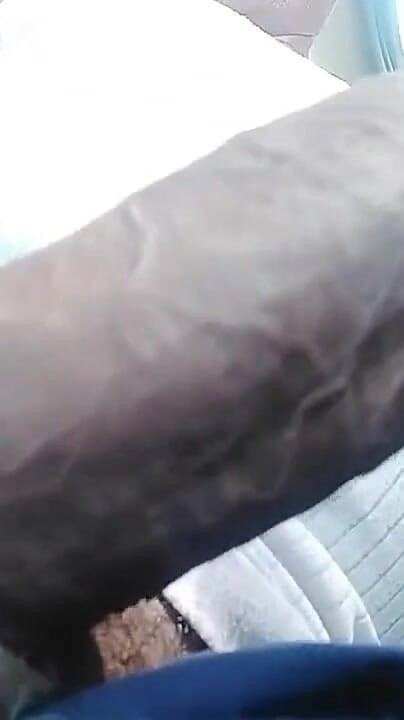 Sexy Cock (Badplay boy) Sexy Cock (Badplay boy)