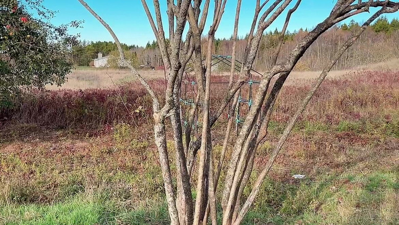 sweethanajapanese: Вода мочиться, прогулянка до саду