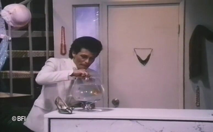 Vintage Vixens: Beverly Hills vintage sex tape - holandské titulky