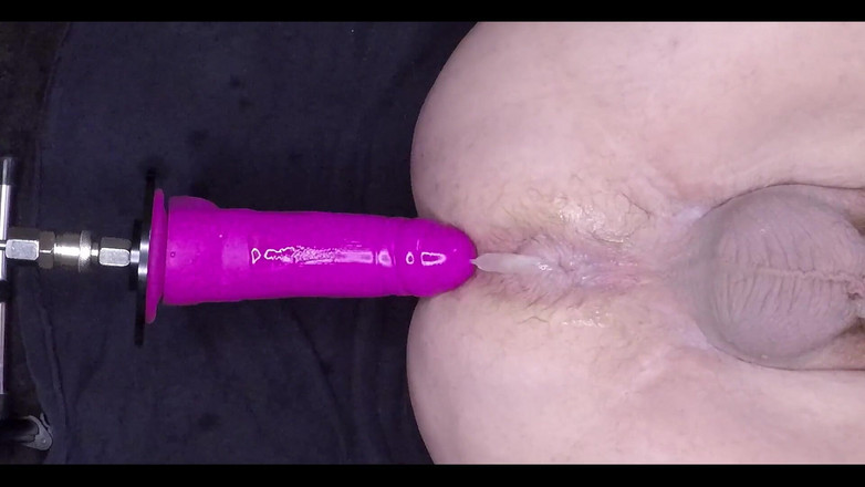 Curious Jay: 내가 가장 좋아하는 장난감을 풀어줘