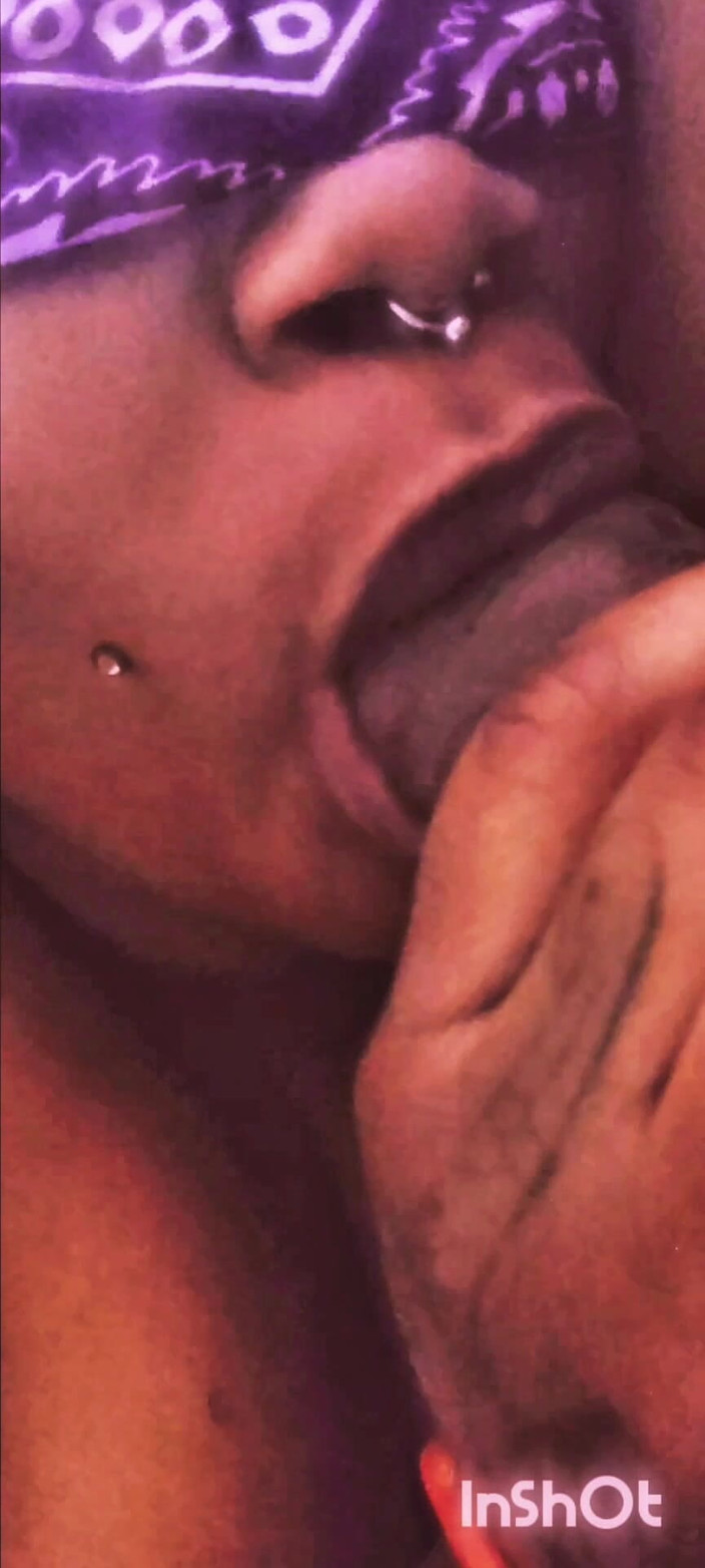 The Nasty House: Das schlampige monster !!