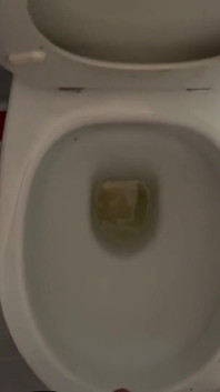 Piss and Cum