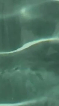 Deux blondes à forte poitrine en bikinis passent un moment lesbien sexy dans la piscine