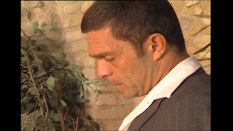 Shemale exstasy: Lahodné sání