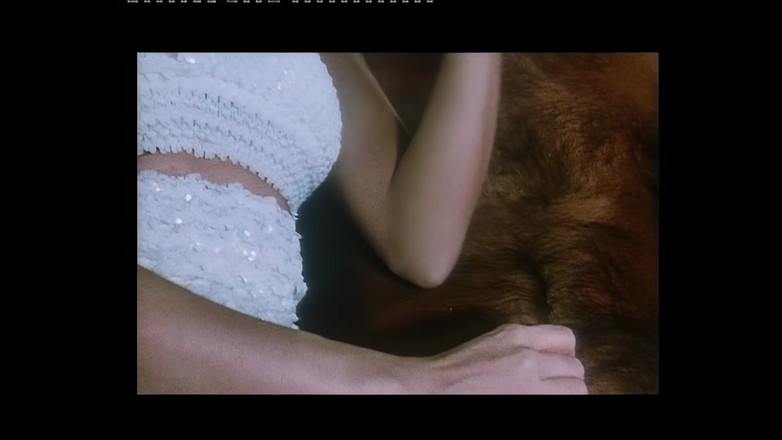 Rocco Siffredi 35mm: Cuentos del pasado de Depp