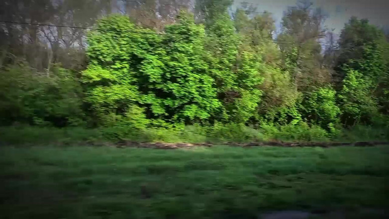 Fish Cam: Twink Took the Train From the City to the Forest...