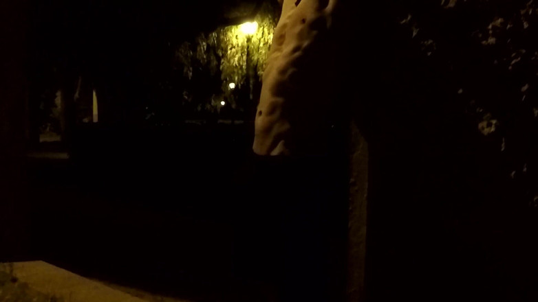 outdoor-fun: Křižování v parku v noci - Nahá 2