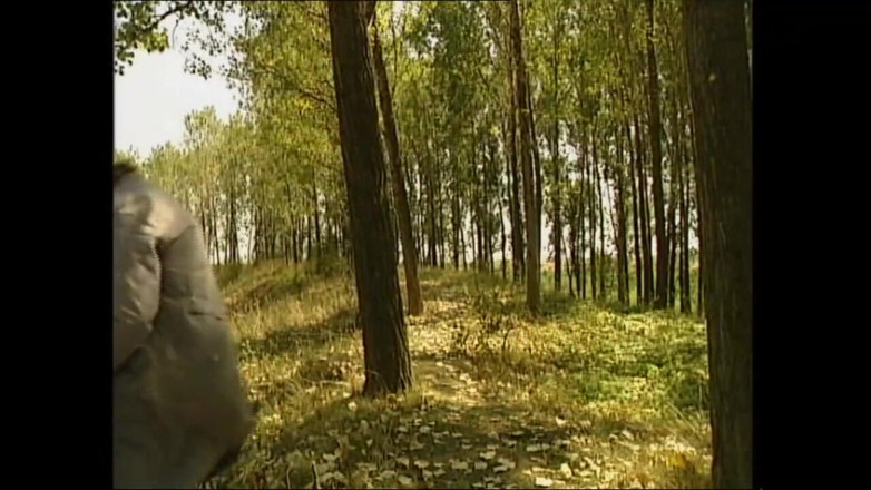 MMV films - The Original: Brudne sekrety zdeprawowanych niemieckich rodzin (pełny film porno)