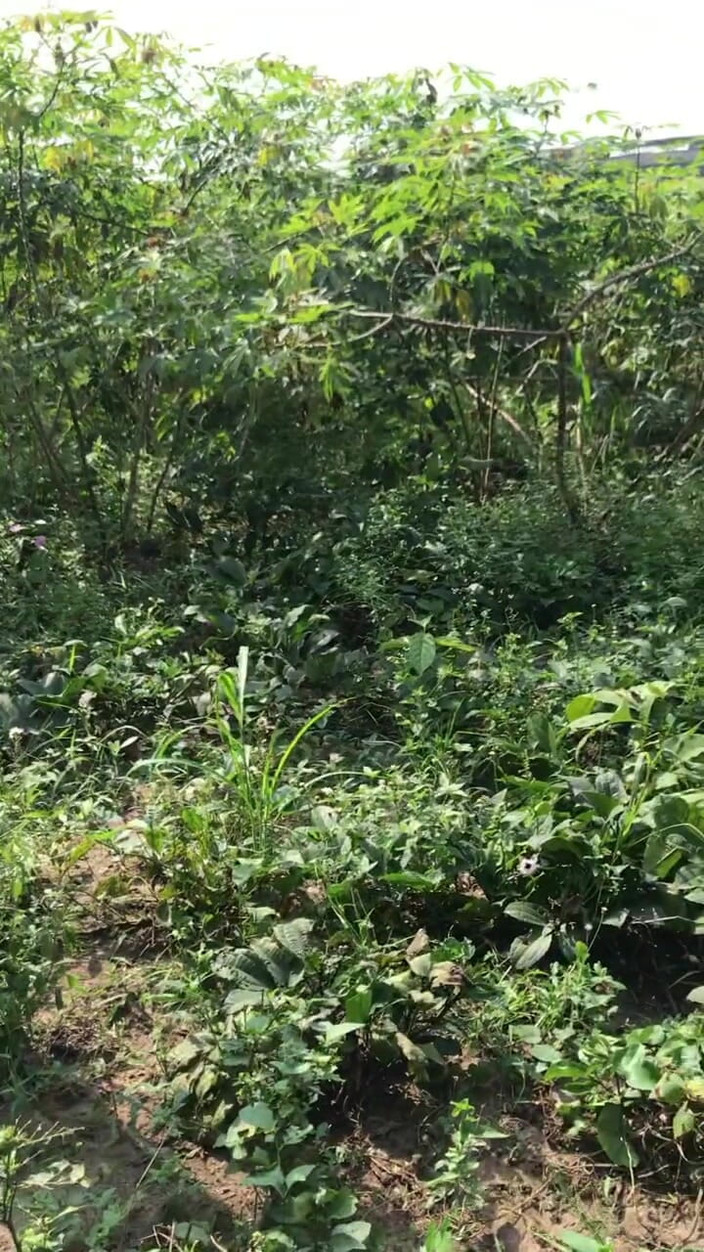 Sexylary: Рождественские каникулы, секс на улице с двумя африканскими горячими топами, трахаю твинка Breback