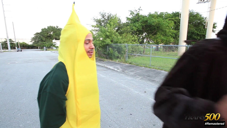 Trans 500: Vaniity Remastered