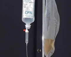 완벽한 고무 시험