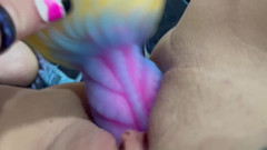 RoxxyReed: Octopussy