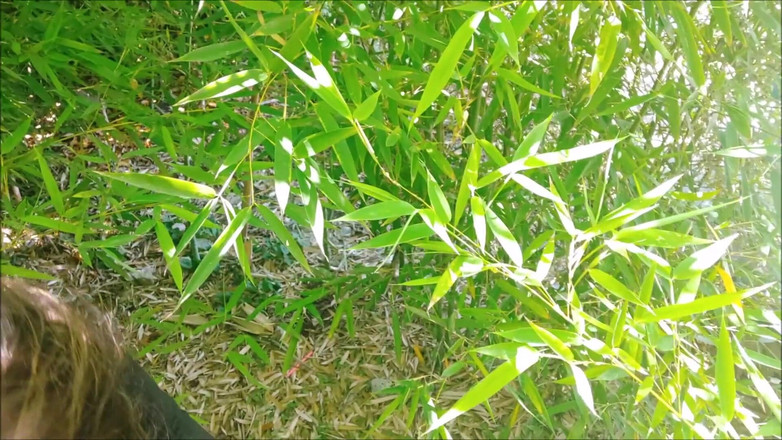savannahamatoriale: Lara Croft este reală! Am avut o surpriză drăguță cu...