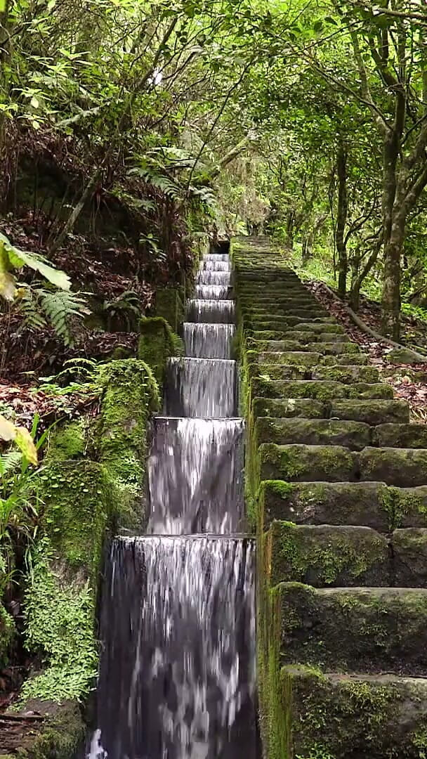 Watch4beauty: Madeira geheimnisse