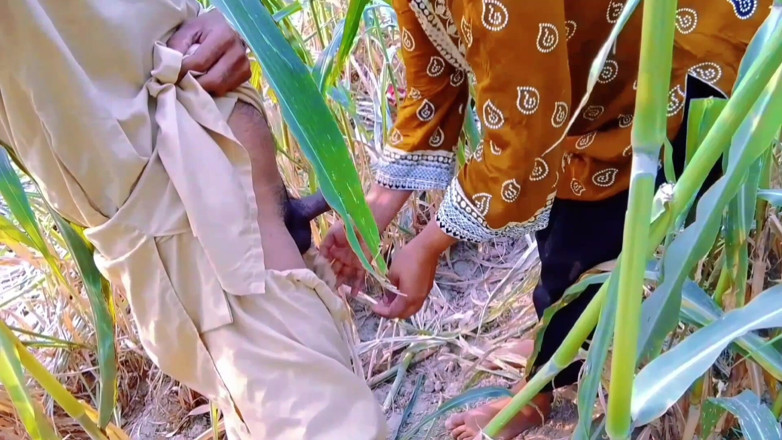 Abida sexy: Desi Couple