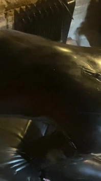 Latex-schwanz-spielzeug im catsuite