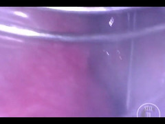 Lina Free: Whisk Spreading My Ass From Inside