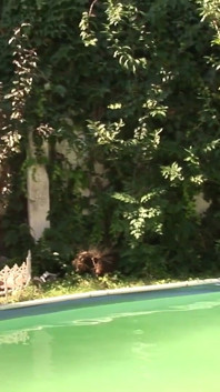 Özel video prezervatifsiz: İnanılmaz kaslı erkekler anal sikişiyor