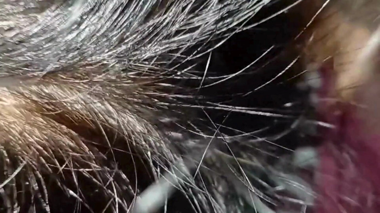 Pinki Bhabhi 69: मेरे पति के ऑफिस जाने के बाद मैंने अपने पूर्व बॉयफ्रेंड को घर बुलाया और उसके साथ सेक्स किया।