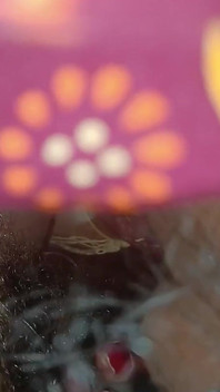 Ateşli rustik baldızın ilk ateşli su içme videosu