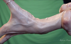 Rebecca Diamante: Великі вени рук Ребекки Діаманте