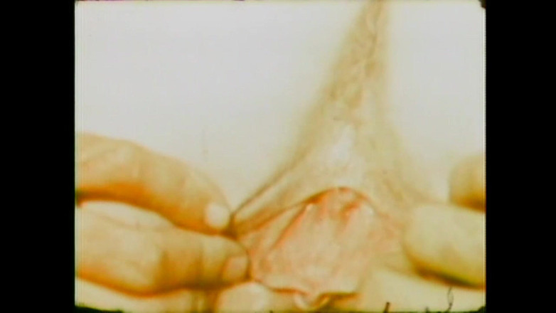 Vintage Usa: Slut at Home