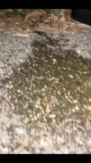 Thumbnail of Panty Nectar for You