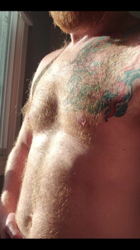 The Morning Sunlight