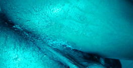 Hallelujah Johnson: Uctívání zadku Hallelujah Johnson (Dr. Manhattan Break A Sweat)