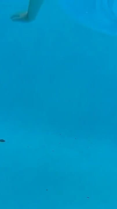 Couple Underwater Diving and Swimming (BBW nurse Vicki adventures with friends)