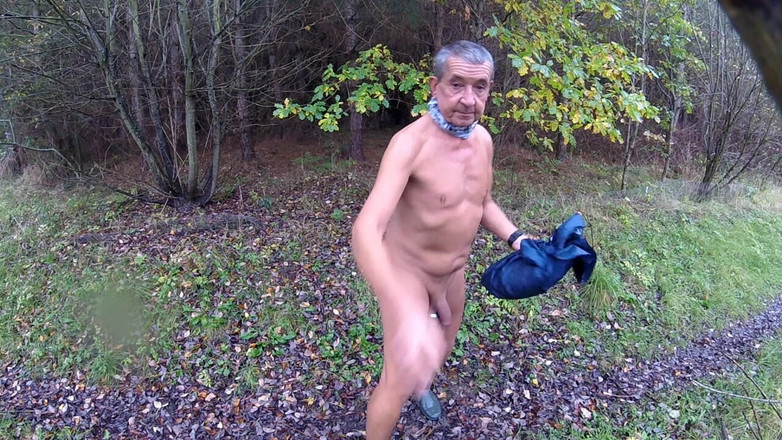 Andy: Dia molhado na floresta