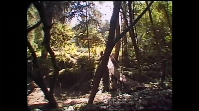 PURZEL TV - our best full movie: Zła myśl