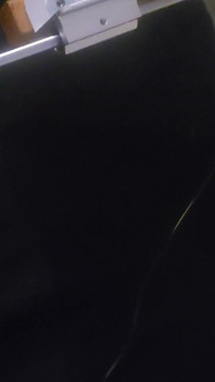 This Is Gateway Dick Right Here