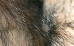 भारतीय सौतेला भाई सौतेली बहन को चोदता है