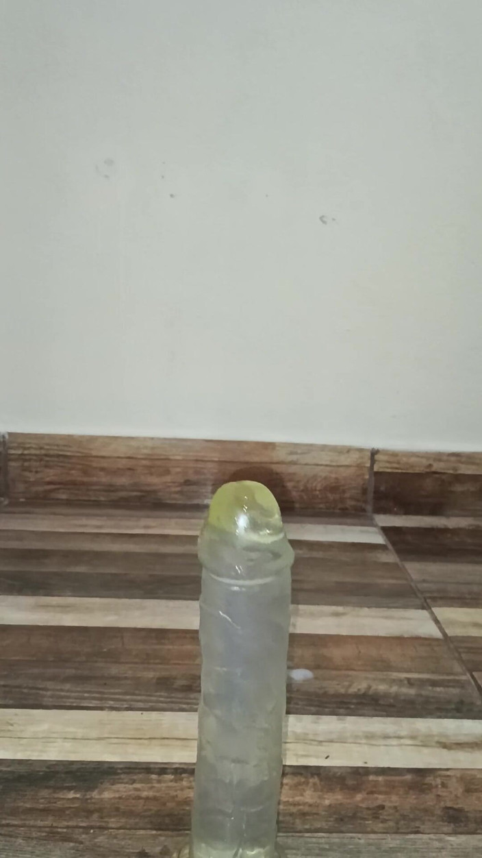 Ferreira br: I Miei Primi Giorni Con Il Mio Primo Vibratore