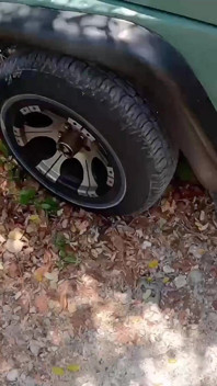 Hot Teenage Girl Gets Fucked in the Woods, Forest Sex, Teenage Sex Outdoors, Car Sex, Slutty Teenage Girl Fuckedp