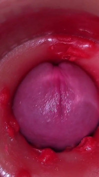 질에 카메라, 자궁 경부 POV, 질싸