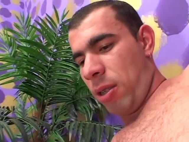 Shemales Tales: La trans latina e il ragazzo bianco fanno sesso gay