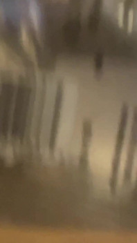 Assplay