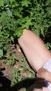 Je Fais Pipi Dans Mon Jardin Pour Arroser Les Plantes