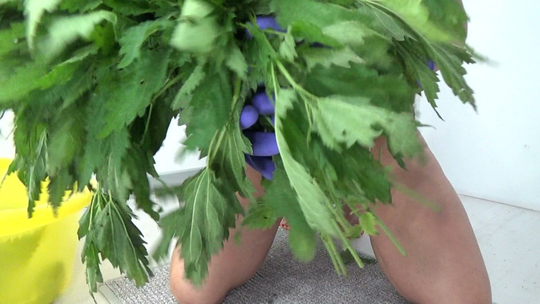 AnnaBUST: Nettle Slaps. Nettle Fucking.