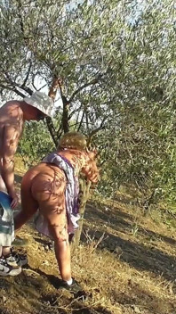 Два чоловіка й жінка, прогулянка в Оливковому гаю
