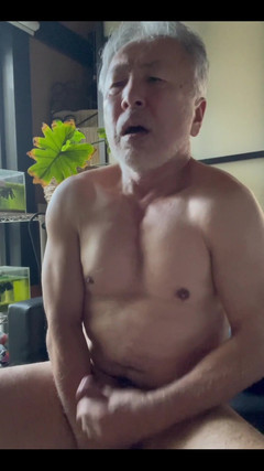 Japanese daddy: Solo Man