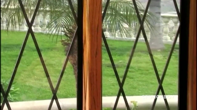 Bitch fucked bareback by big cock: Video bokong terbaik cewek jalang latina dientot habis-habisan sampai dicrot...