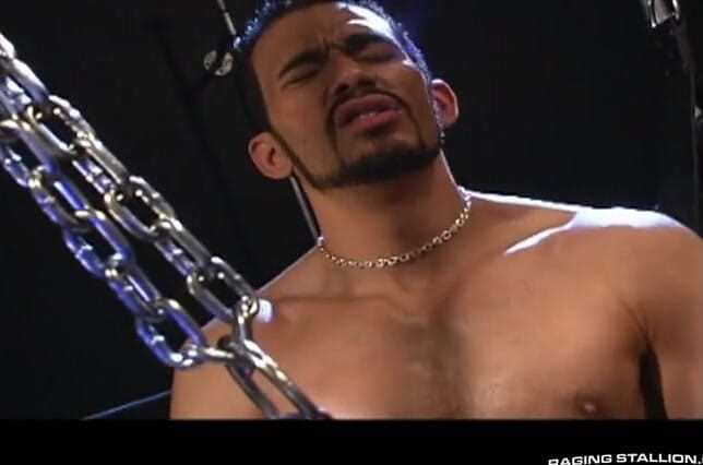 Raging Stallion: Plexus