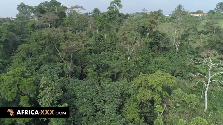 Africa-XXX: Sesso bollente nella giungla