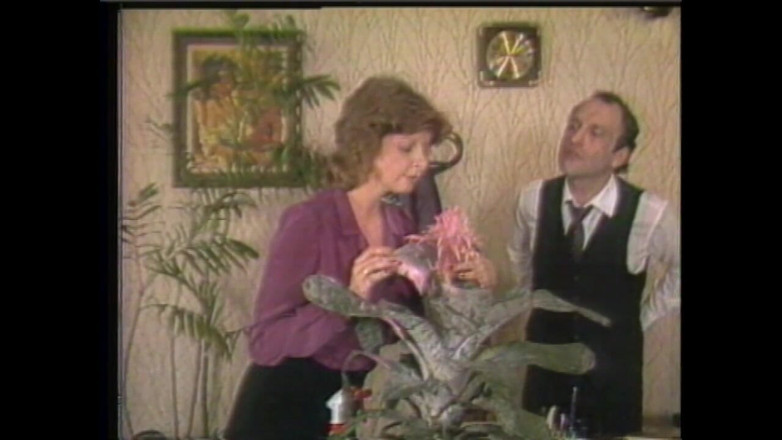 Vintage Usa: Hair After Hair in a Hard Scene