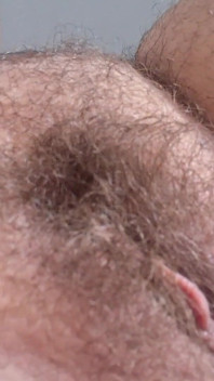 Mollige Harige Kut Update June