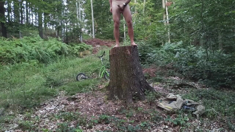 kickerscooter: Stump Chase, Part Two